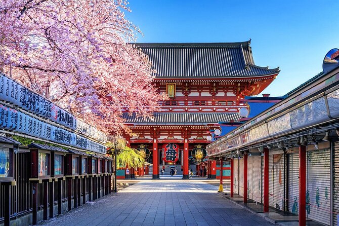 Private and Customisable Tokyo Tour with English Driver-guide - Tokyo Tower and the limits of a nine-hour day