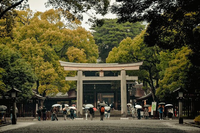 Private and Customisable Tokyo Tour with English Driver-guide - What the driver-guide does, and what is not included