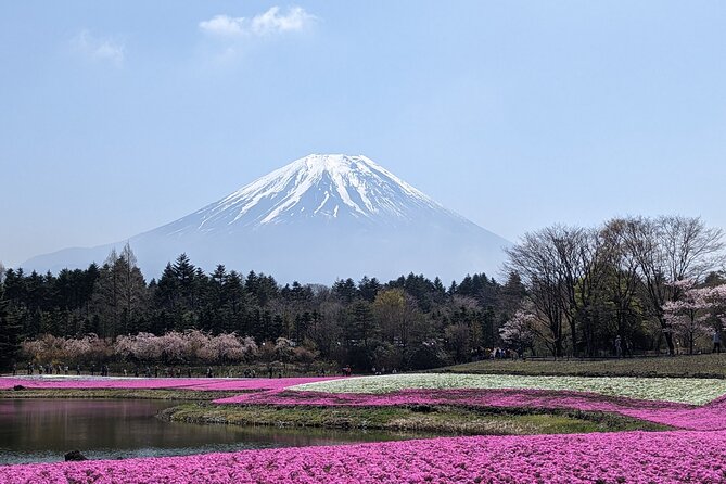 Private Car Mt Fuji and Gotemba Outlet in One Day from Tokyo - The Panoramic Ropeway and the cost of extra views