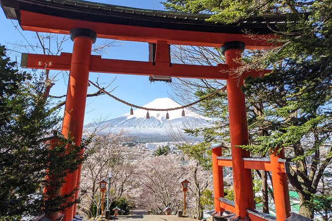 Private Car Mt Fuji and Gotemba Outlet in One Day from Tokyo - Oshino Hakkai, shrines, and the older Fuji pilgrimage route
