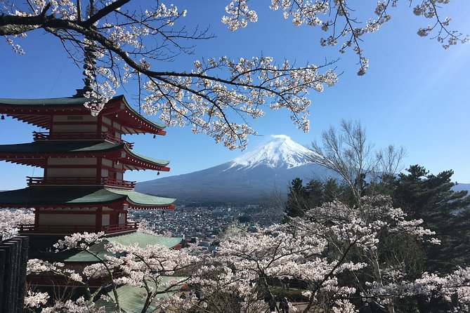 Private Car Mt Fuji and Gotemba Outlet in One Day from Tokyo - The 5th Station: high altitude and a seasonal restriction