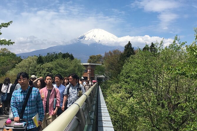 Private Car Mt Fuji and Gotemba Outlet in One Day from Tokyo - Caves and Aokigahara Forest
