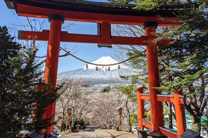 Private Car Tour to Mt. Fuji Lake Kawaguchiko or Hakone - A private way to see Mt. Fuji from Tokyo