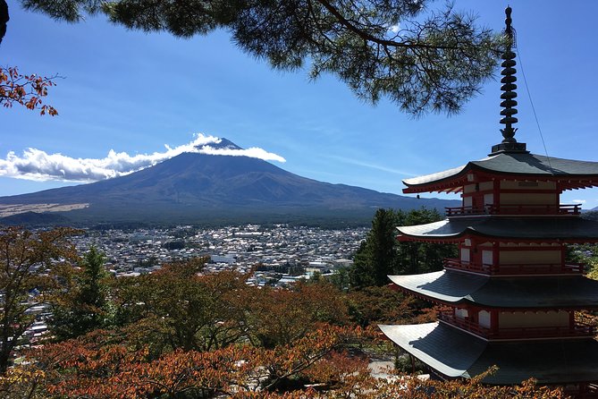 Private Car Tour to Mt. Fuji Lake Kawaguchiko or Hakone - Oshino Hakkai and the Fuji foothills