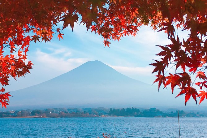 Private Car Tour to Mt. Fuji Lake Kawaguchiko or Hakone - Aokigahara, lava caves, and a different side of Fuji