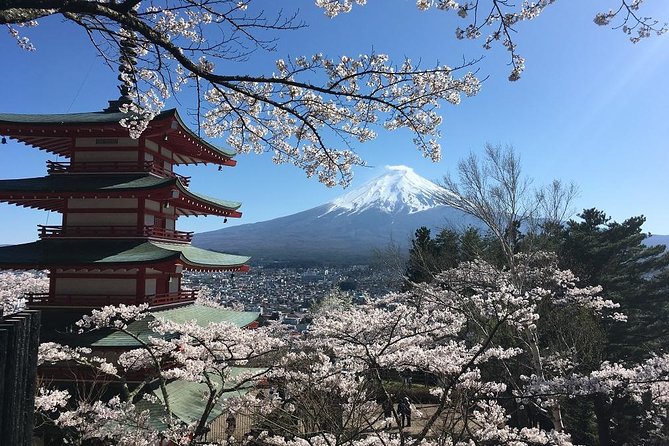 Private Car Tour to Mt. Fuji Lake Kawaguchiko or Hakone - What the private service does well