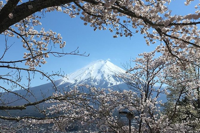 Private Car Tour to Mt. Fuji Lake Kawaguchiko or Hakone - Price, inclusions, and the value question