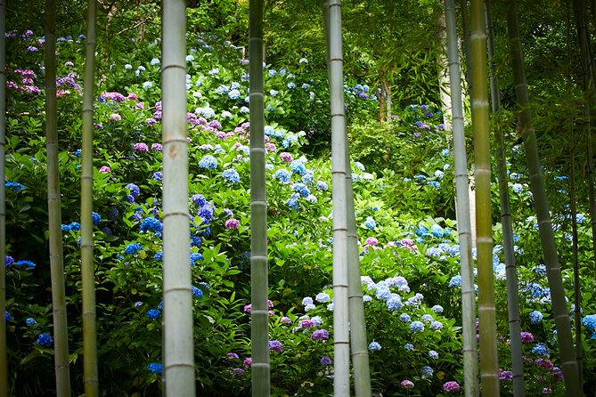 Private Car Tour to see Highlights of Kamakura, Enoshima, Yokohama from Tokyo - Why this private Kamakura tour works