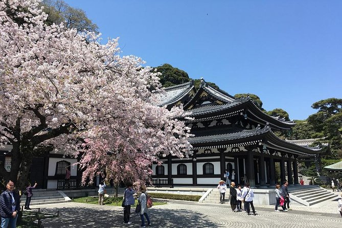 Private Car Tour to see Highlights of Kamakura, Enoshima, Yokohama from Tokyo - Enoshima gives the day a seaside finish