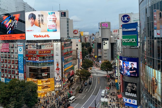 Private City Kickstart Tour: Tokyo - Is $89.08 good value for 90 minutes?