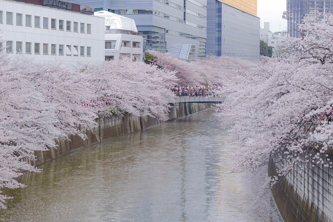 Private Custom Tour: Tokyo in a Day - Yanaka Ginza slows the city down