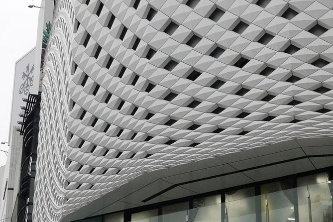 Private Ginza Architecture Walking Tour - UNIQLO Tokyo, Wako, and Ginza’s famous street face