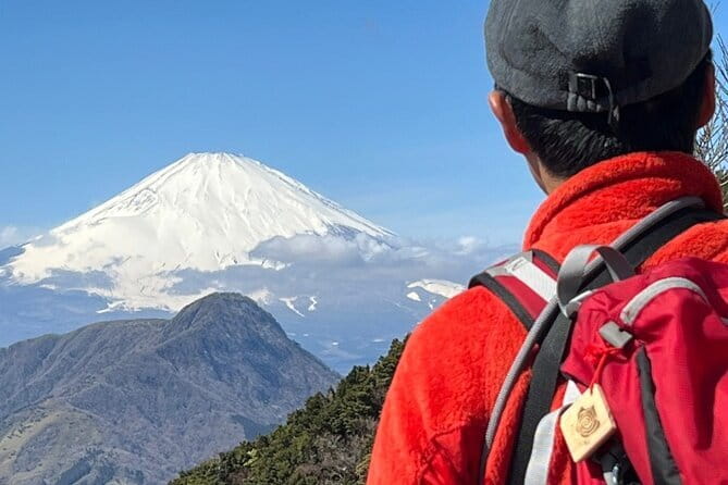 Private Hakone Half-day Car Tour with Hotel Pickup - Local Guide - Ōkanzan and the Lake Ashi Skyline