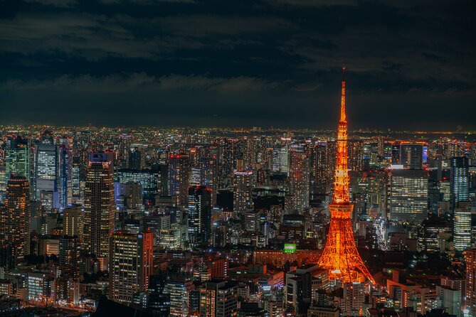 Private Memorable Tokyo Tour with English Speaking Driver - Tokyo Skytree Requires a Choice