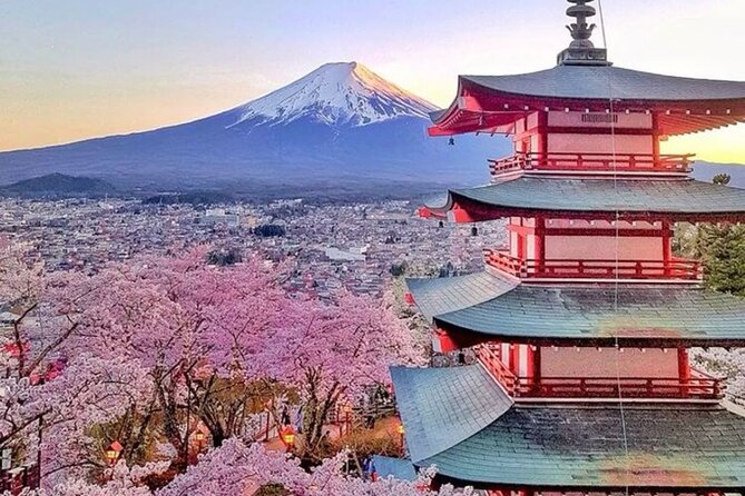 Private Mount Fuji Tour in Luxury Vehicle with English Guide - Kitaguchi Hongu Fuji Sengen Shrine