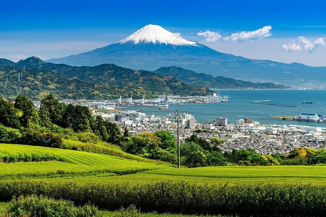 Private Mount Fuji Tour in Luxury Vehicle with English Guide - The Lawson photo stop and the risk of repetition
