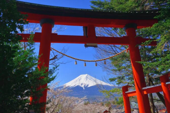 Private Mount Fuji Tour in Luxury Vehicle with English Guide - Owakudani Valley and volcanic Hakone