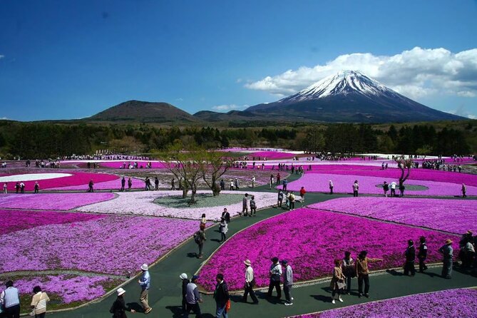 Private Mount Fuji Tour in Luxury Vehicle with English Guide - Mount Fuji 5th Station, the highest road-access point
