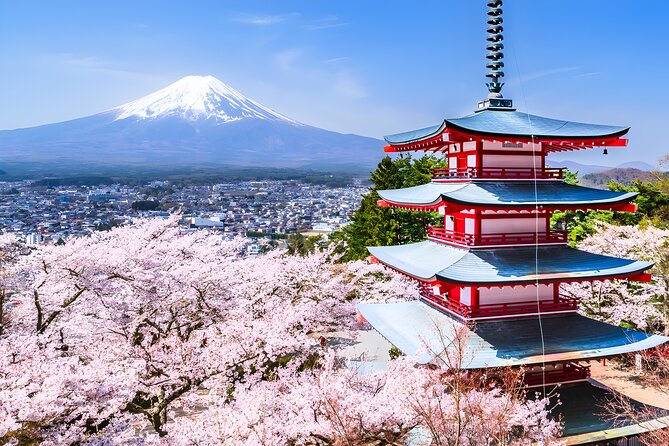 Private Mt. Fuji Day Trip from Tokyo with English-Speaking Driver - Why a private Fuji day trip can work well from Tokyo