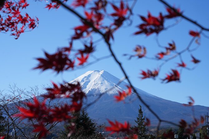 Private Mt. Fuji Day Trip from Tokyo with English-Speaking Driver - The 5th Station, high above the Fuji lakes