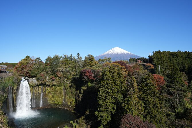 Private Mt. Fuji Day Trip from Tokyo with English-Speaking Driver - Lake Yamanaka and the final shopping option