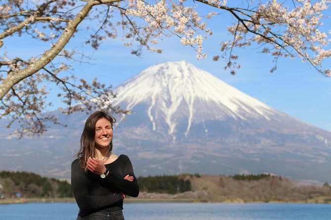 Private Mt Fuji Tour from Tokyo: Scenic BBQ and Hidden Gems - Shiraito Falls, where Fuji’s spring water fans out