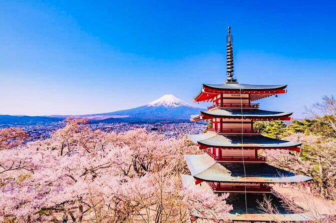 Private Sightseeing to Mt Fuji and Hakone with English Driver - Key points at a glance