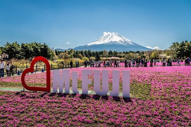 Private Sightseeing to Mt Fuji and Hakone with English Driver - Kitaguchi Hongu Fuji Sengen Jinja Shrine