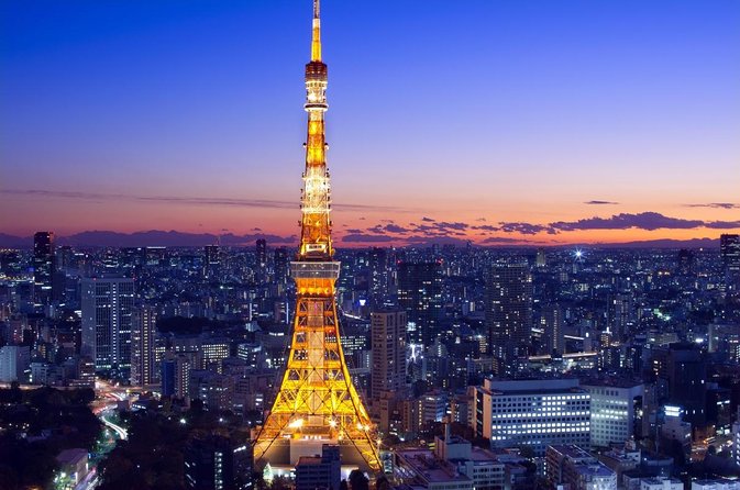 Private Tokyo Day-Tour by Car with English Speaking Guide. - Key points to know before booking