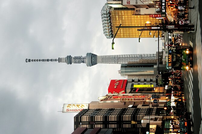 Private Tokyo Day-Tour by Car with English Speaking Guide. - Sumida Park and Skytree make a strong visual pairing