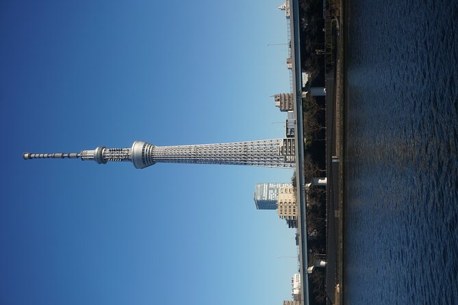Private Tokyo Day-Tour by Car with English Speaking Guide. - Odaiba and Rainbow Bridge finish the day with open views