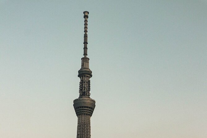 Private Tokyo Day-Tour by Car with English Speaking Guide. - Ueno Park starts the cultural side of the day