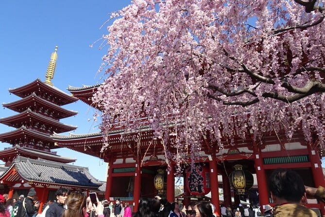 Private Tokyo with Exceptional Guide Tailored to Your Needs - What fits into four hours, and what needs eight