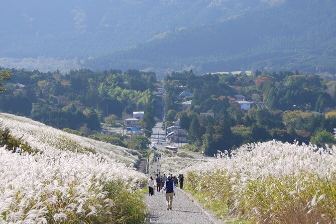 Private Tour - Hakone Day Trip! A Tour to Explore All Must-Sees! - Cu-mo Hakone and its foot bath