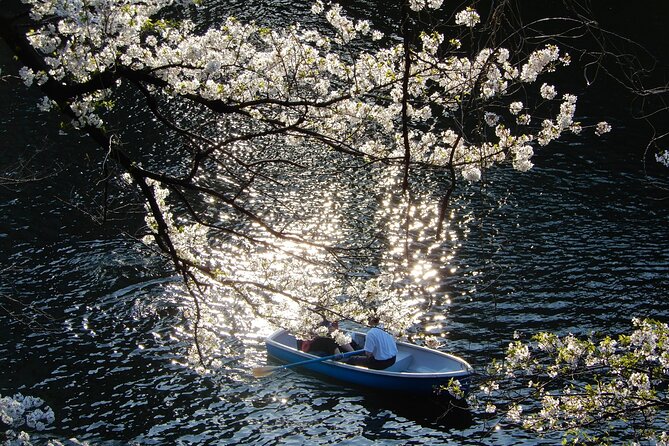 Private Tour - History, Art and Nature at the Imperial Palace - The East Gardens and the remains of Edo Castle