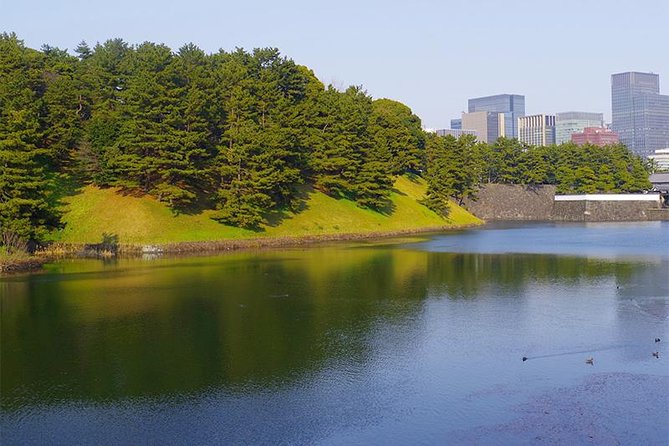 Private Tour - History, Art and Nature at the Imperial Palace - Modern Japanese art at the National Museum of Modern Art