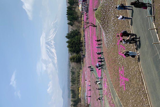 Private Tour to Mt. Fuji and Hakone (Fully Licenced Operator) - Oshino Hakkai and the water from Mt. Fuji