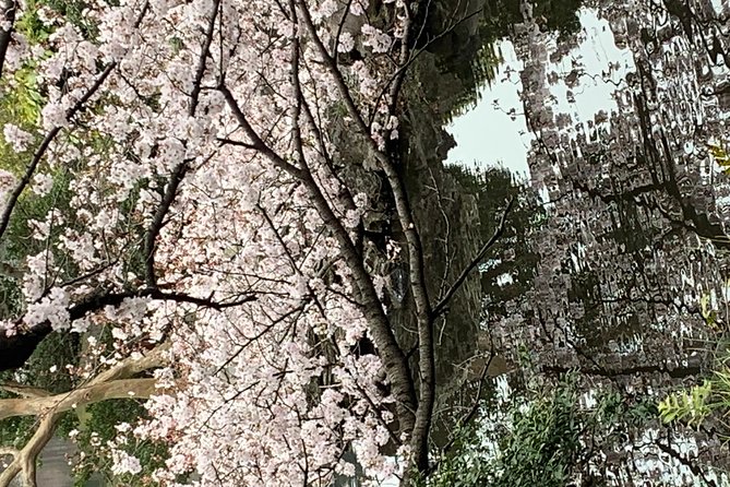 Private Tour to Mt. Fuji and Hakone (Fully Licenced Operator) - Shrines, pagoda steps, and Fuji photographs
