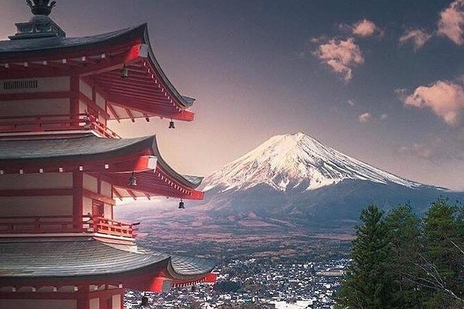 Private Tour to Mt. Fuji and Hakone (Fully Licenced Operator) - Extra stops when the clock allows