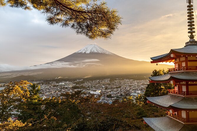 Private Tour to Mt Fuji and Hakone with English Speaking Driver - Lake Ashi, the pirate ship and the red torii