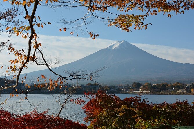 Private Tour to Mt Fuji and Hakone with English Speaking Driver - Ōwakudani and the volcanic side of Hakone