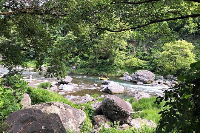 Private Tour: Tokyo's Oldest Sake Brewery and Riverside Walk - A Japanese lunch beside the river