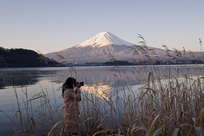 Private Unforgettable Mt Fuji Tour with English Speaking Driver - Why a private car makes Mt Fuji easier from Tokyo