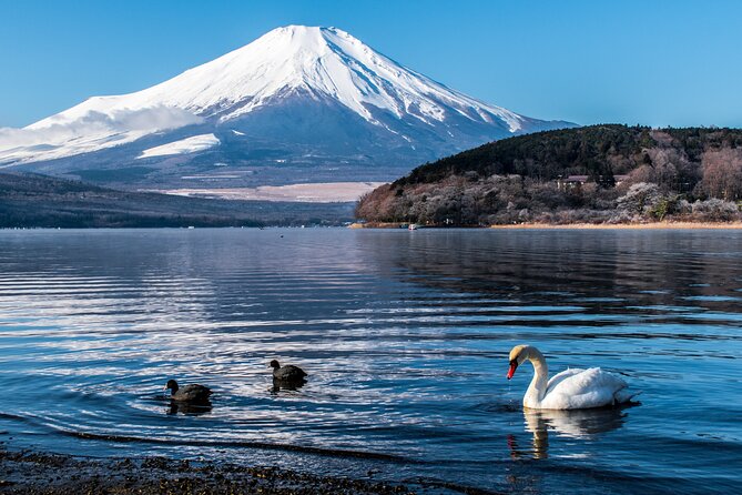 Private Unforgettable Mt Fuji Tour with English Speaking Driver - The 5th Station depends heavily on weather