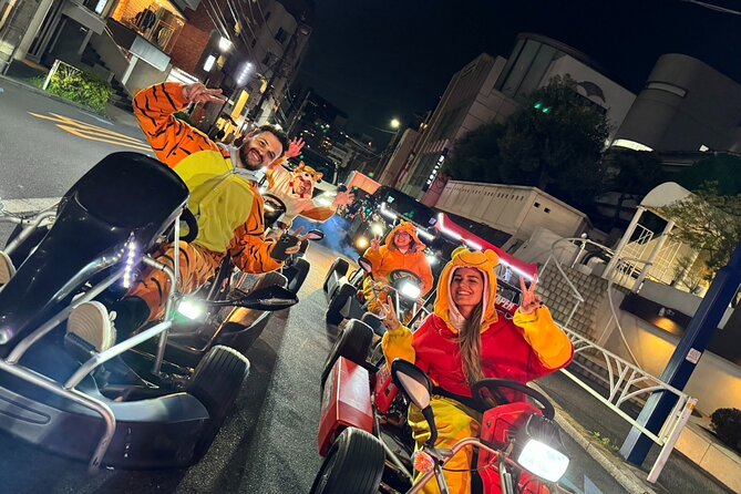 Ride Through The Streets Of Shibuya and Sinjuku By Go Kart - Starting in Nishishinjuku