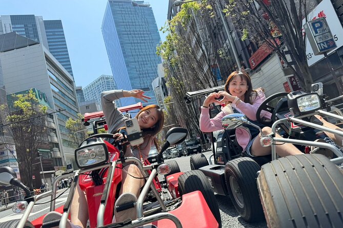 Ride Through The Streets Of Shibuya and Sinjuku By Go Kart - Seeing Shibuya and Shinjuku from the road