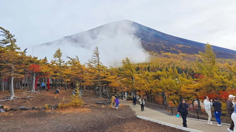 [Seasonal Limited] Mt. Fuji 5th Station &Hot Spring Day Tour - Asama Park and the famous pagoda view