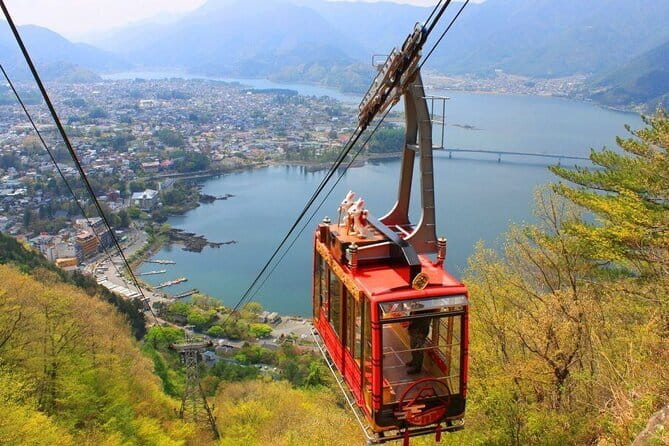 Seasonal Mt. Fuji Scenic Views, Fruit Picking and Ropeway Ride! - Key points to know before you book
