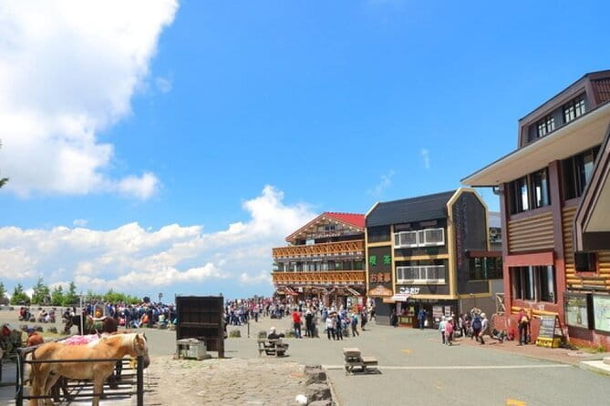 Seasonal Mt. Fuji Scenic Views, Fruit Picking and Ropeway Ride! - Riding above Lake Kawaguchiko on the ropeway