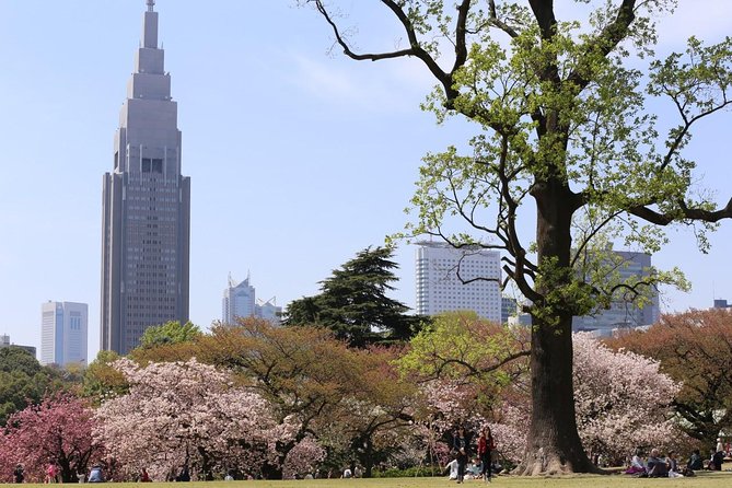 Shared Arrival Transfer : Haneda Airport to Central Tokyo City - Shared vehicle comfort and group size